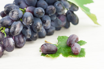 Three grapes on green leaf beside bunch of fresh ripe blue grapes on old wooden rustic white planks