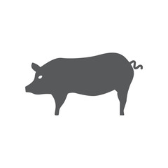 Pig icon.