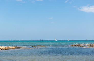 Regatta of sailing boats. La Manga. Spain.

