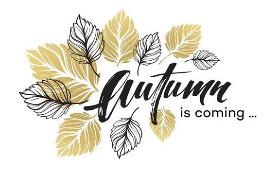 Fall background design with golden and black autumn leaves. Vector illustration