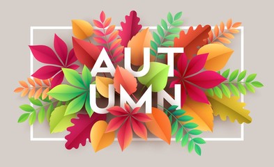 Autumn banner background with paper fall leaves. Vector illustration