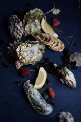 Assortment of oysters, delicatessen.