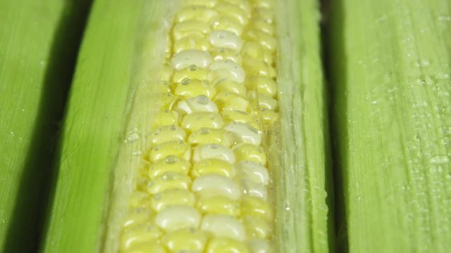 Rotating closeup view of corn