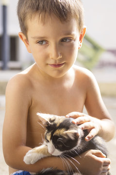 Cute Little Boy Holding A Kitten