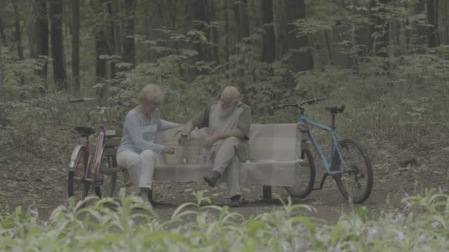 Elderly man pours tea into the cups in the park - slog3 scene