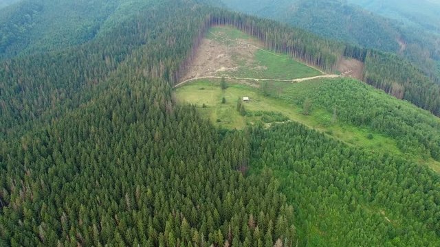 Deforestation. Aerial drone view of forest destroyed Ukrainian Carpathians / Deforestation. Aerial drone view of forest destroyed Ukrainian Carpathians. Summer