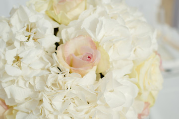Lovely fresh roses vivid background. Closeup of bright decor texture beauty