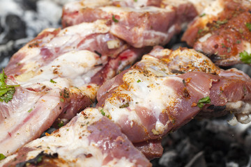 Cooking meat on the grill