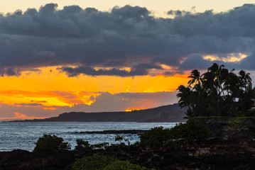 Obraz premium Cloudy Sunset with Palm Trees