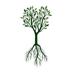 Green Tree with Leaves and Roots. Vector Illustration.
