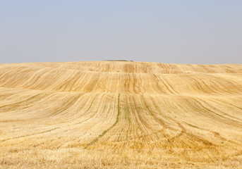 wheat stack