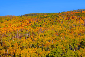 Scenic autumn landscape in Colorado