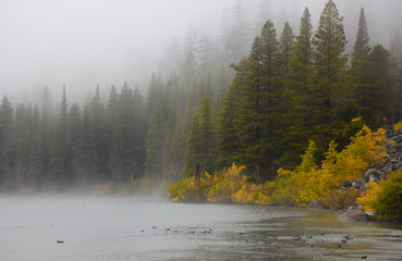 Fototapeta premium Mammoth lakes landscape on a rainy day in California near Mammoth lakes