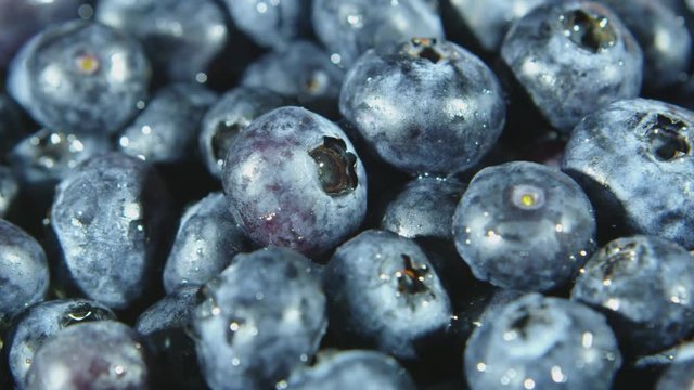 Rotating closeup view of blueberries