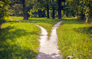Split paths in the Park