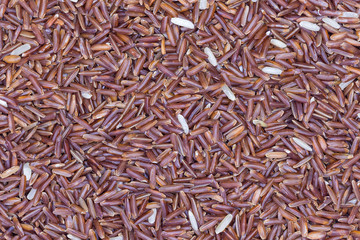 Red rice