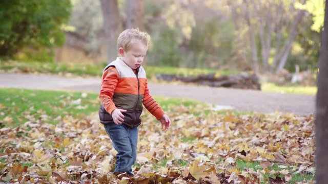 Little boy throwing autumn leaves