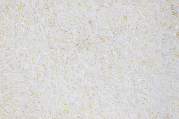 rice grain