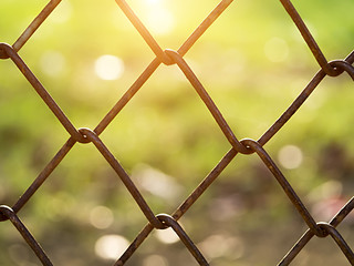 Metal fence with sunlight.