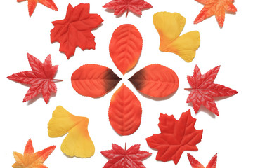 Obraz premium 白背景に人工の紅葉