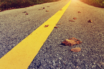 yellow traffic lines with dry leaf on the ground.