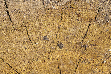 Old wooden boards