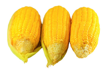 close up yellow fresh sweet corn raw delicious,isolated on white background