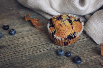 Still life with blueberry muffin and blueberries over rustic wooden background, copy space