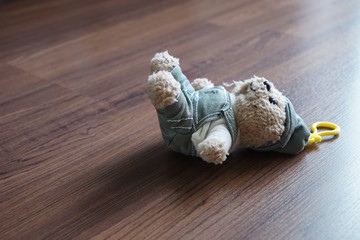 Teddy Bear is a popular toy for children around the world.