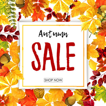 Sale banner with autumn leaves