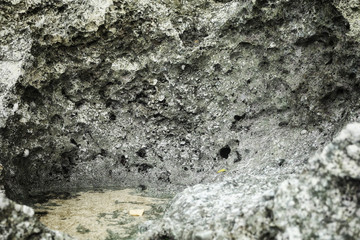 Another World