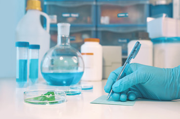 Scientific or medical background with gloved hand holdong microscopic slide glass