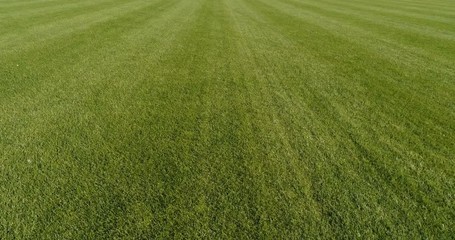 Low flight forward over beautiful green grass meadow