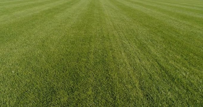 Low flight forward over beautiful green grass meadow