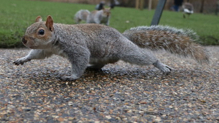 England United Kingdom