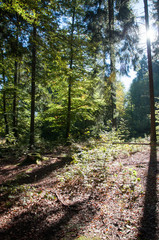 Traufgänge Albstadt