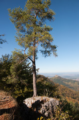 Obraz premium Traufgänge Albstadt