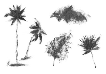 Naklejka premium Hand drawn palm tree isolated on white background. ink sketch, mascara illustration.Tropical palm tree. Sketch for printing on fabric, clothing, accessories, and design.