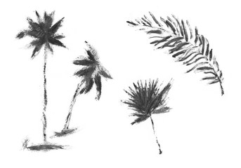 Fototapeta na wymiar Hand drawn palm tree isolated on white background. ink sketch, mascara illustration.Tropical palm tree. Sketch for printing on fabric, clothing, accessories, and design.