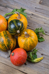Composition of a different varieties and colors of pumpkins on on rustic wooden background