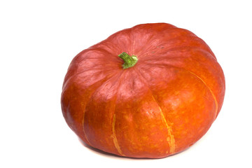 one big round pumpkin close