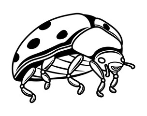 Ladybug Sketch Vector