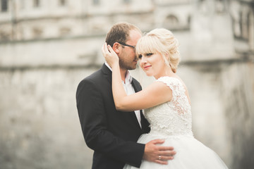 Beautiful fairytale newlywed couple hugging near old medieval castle