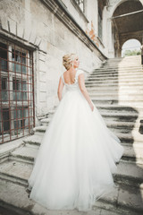 Obraz premium Gorgeous romantic gentle stylish beautiful caucasian bride on the background ancient baroque castle