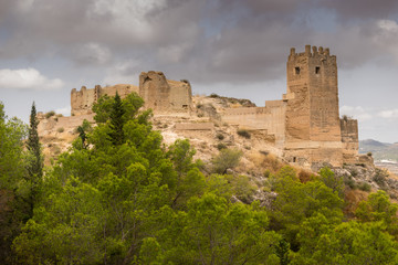 Fototapeta premium old castle in pliego (murcia, spain), in a cloudy day