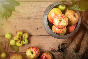 Green and red apples on rustic  table. toned photo