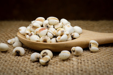 job's Tears in wooden spoon on hemp sack background.