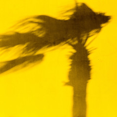 The shadow of the palm is similar to the hieroglyph