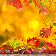 Fototapeta na wymiar Falling autumn leaves background. Lots of copy space.