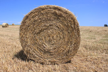 Strohballen